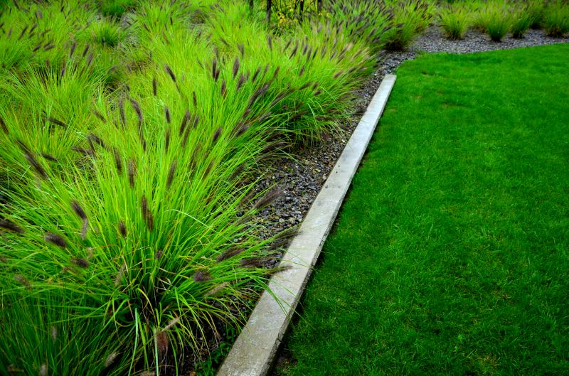 Concrete Border Installation in Crystal River, FL