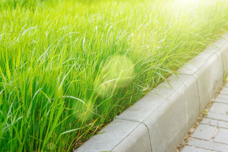 Concrete Edging Installation in Dunnellon, FL